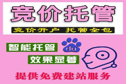 百度推广实战攻略：案例与策略